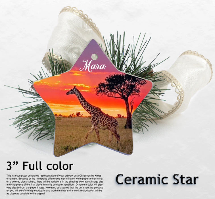 3" Ceramic Ornament Star (#CER-Star)